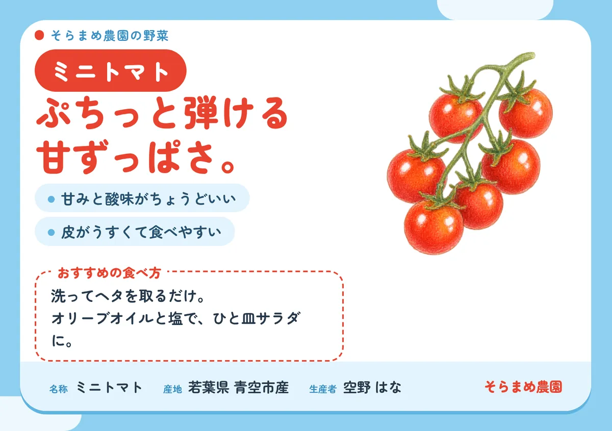 ミニトマトの POP。「ぷちっと弾ける甘ずっぱさ。」の見出し、味の特徴、おすすめの食べ方、名称・産地・生産者